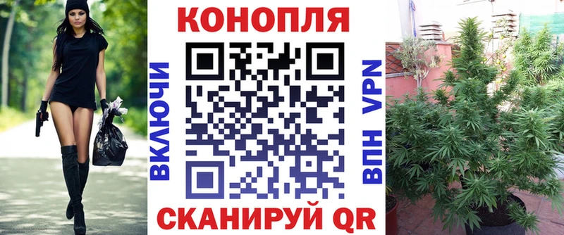 МАРИХУАНА планчик Каменногорск